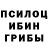 Галлюциногенные грибы Psilocybe fonbaron_2083@bk.ru
