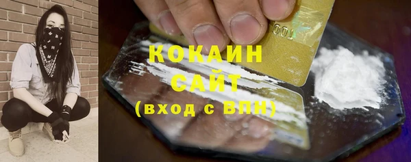прущий лед Алзамай