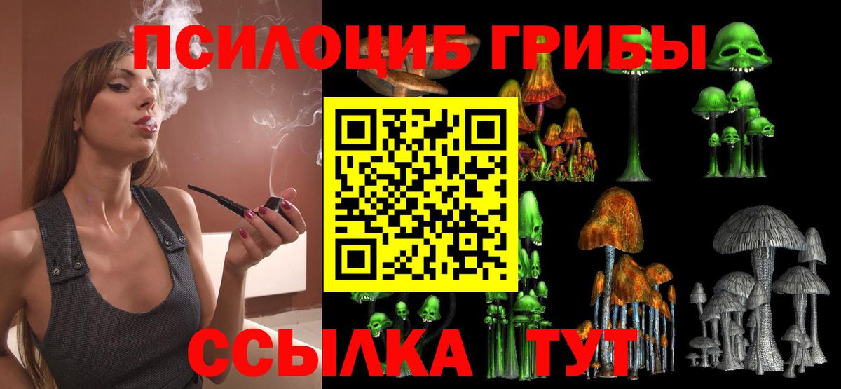Псилоцибиновые грибы Cubensis  Вход с VPN  где можно купить наркотик  Слободской 